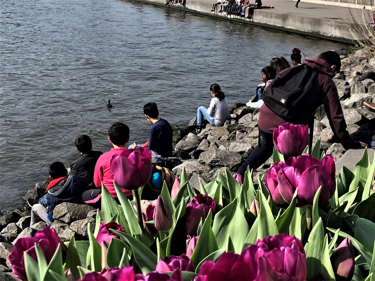 KSD2019-8e groepers pauzeren aan het IJ